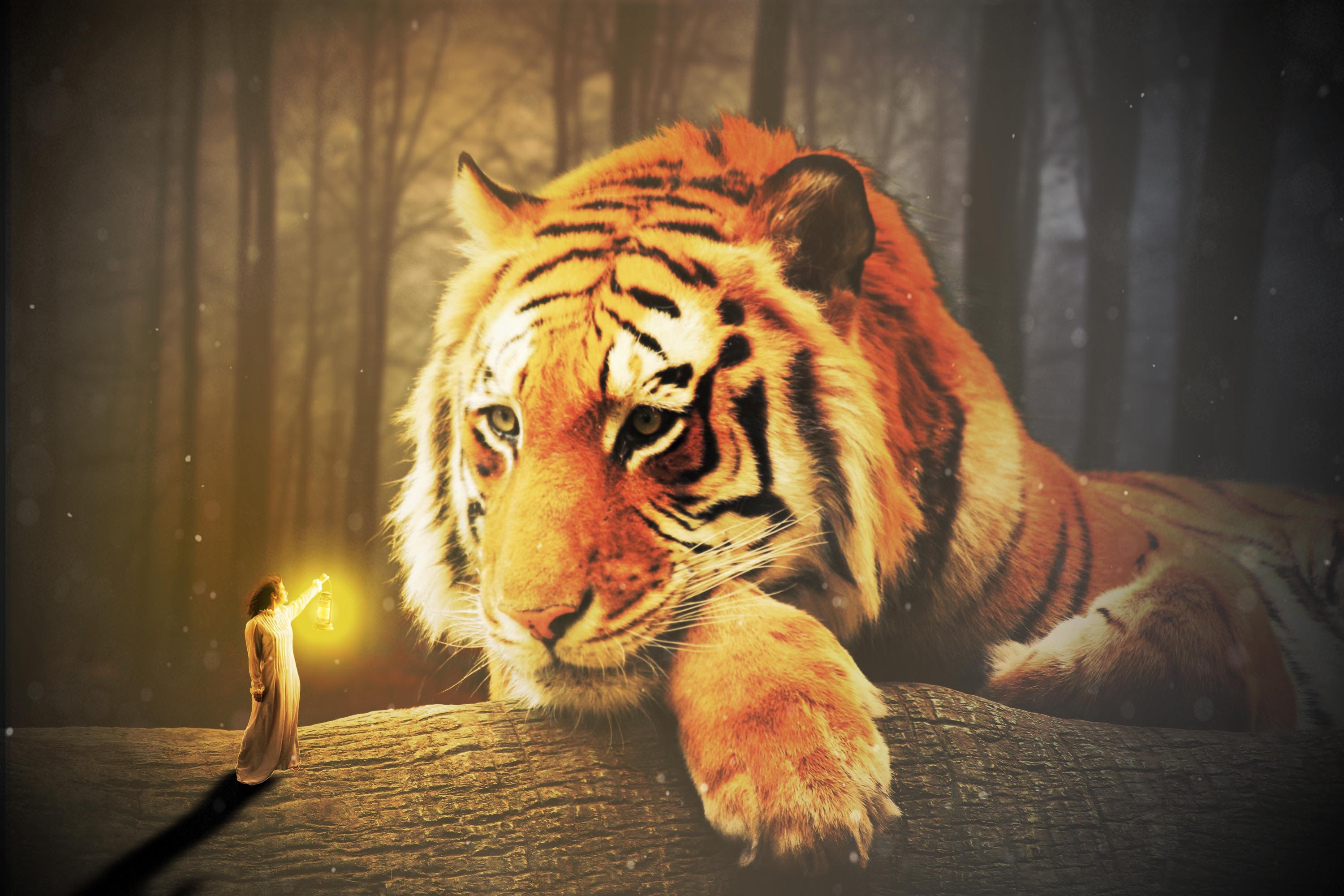 有没有真心想学ps的